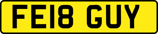 FE18GUY