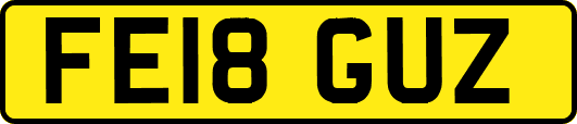 FE18GUZ