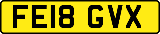 FE18GVX