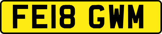 FE18GWM