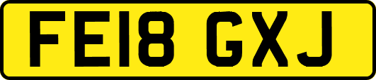 FE18GXJ