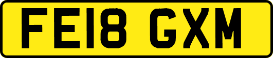 FE18GXM