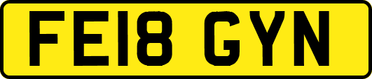 FE18GYN