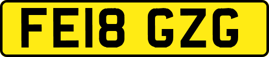 FE18GZG