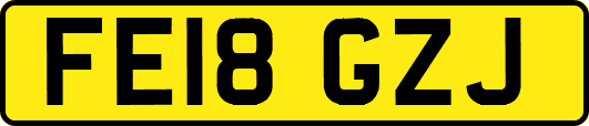 FE18GZJ