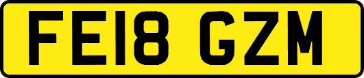 FE18GZM