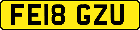 FE18GZU