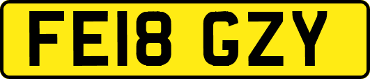 FE18GZY