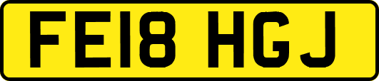 FE18HGJ