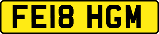 FE18HGM