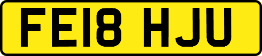 FE18HJU