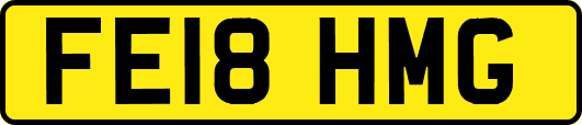 FE18HMG