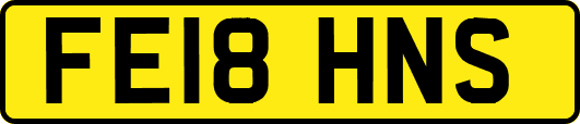 FE18HNS