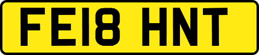 FE18HNT
