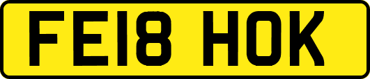 FE18HOK