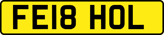 FE18HOL
