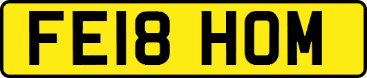 FE18HOM