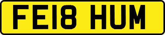 FE18HUM