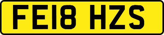 FE18HZS