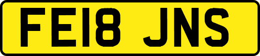 FE18JNS