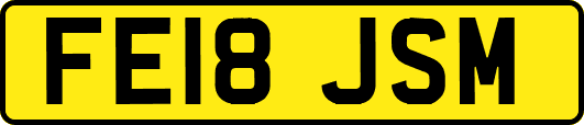 FE18JSM