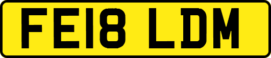 FE18LDM