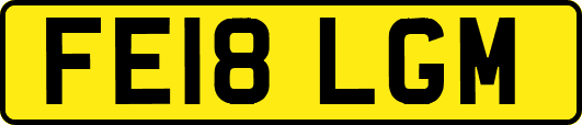 FE18LGM