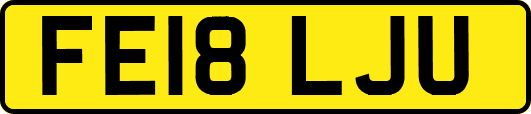 FE18LJU