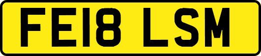 FE18LSM