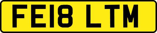 FE18LTM