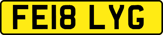 FE18LYG