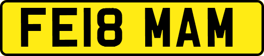 FE18MAM