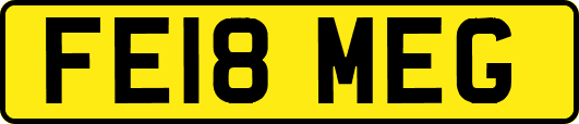 FE18MEG