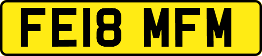 FE18MFM