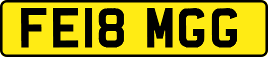 FE18MGG