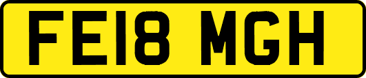 FE18MGH