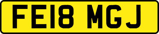 FE18MGJ