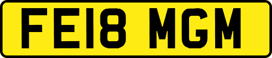 FE18MGM