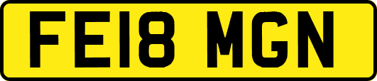 FE18MGN