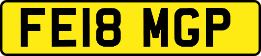 FE18MGP