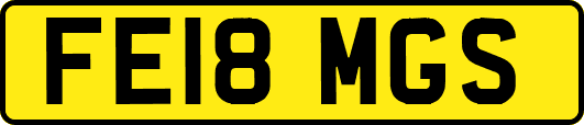 FE18MGS
