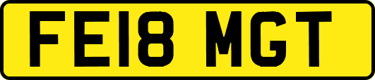 FE18MGT