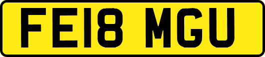 FE18MGU