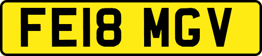 FE18MGV