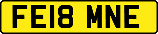 FE18MNE