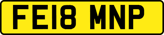 FE18MNP
