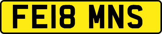 FE18MNS
