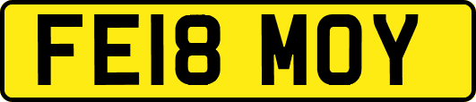 FE18MOY