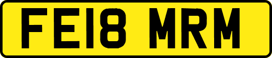 FE18MRM