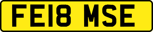 FE18MSE